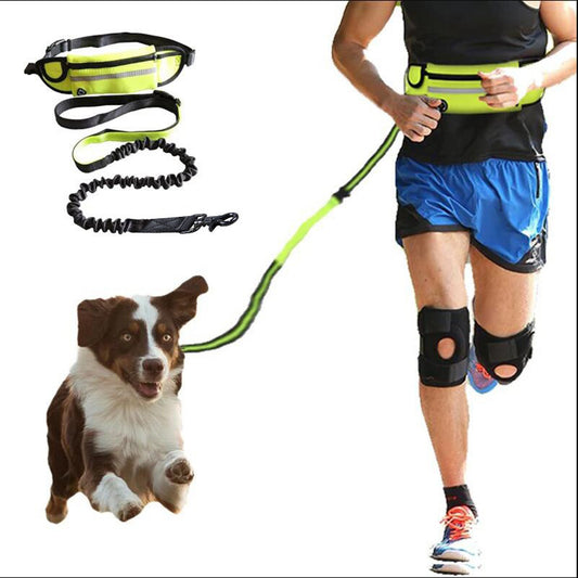 Dog walking and training belt