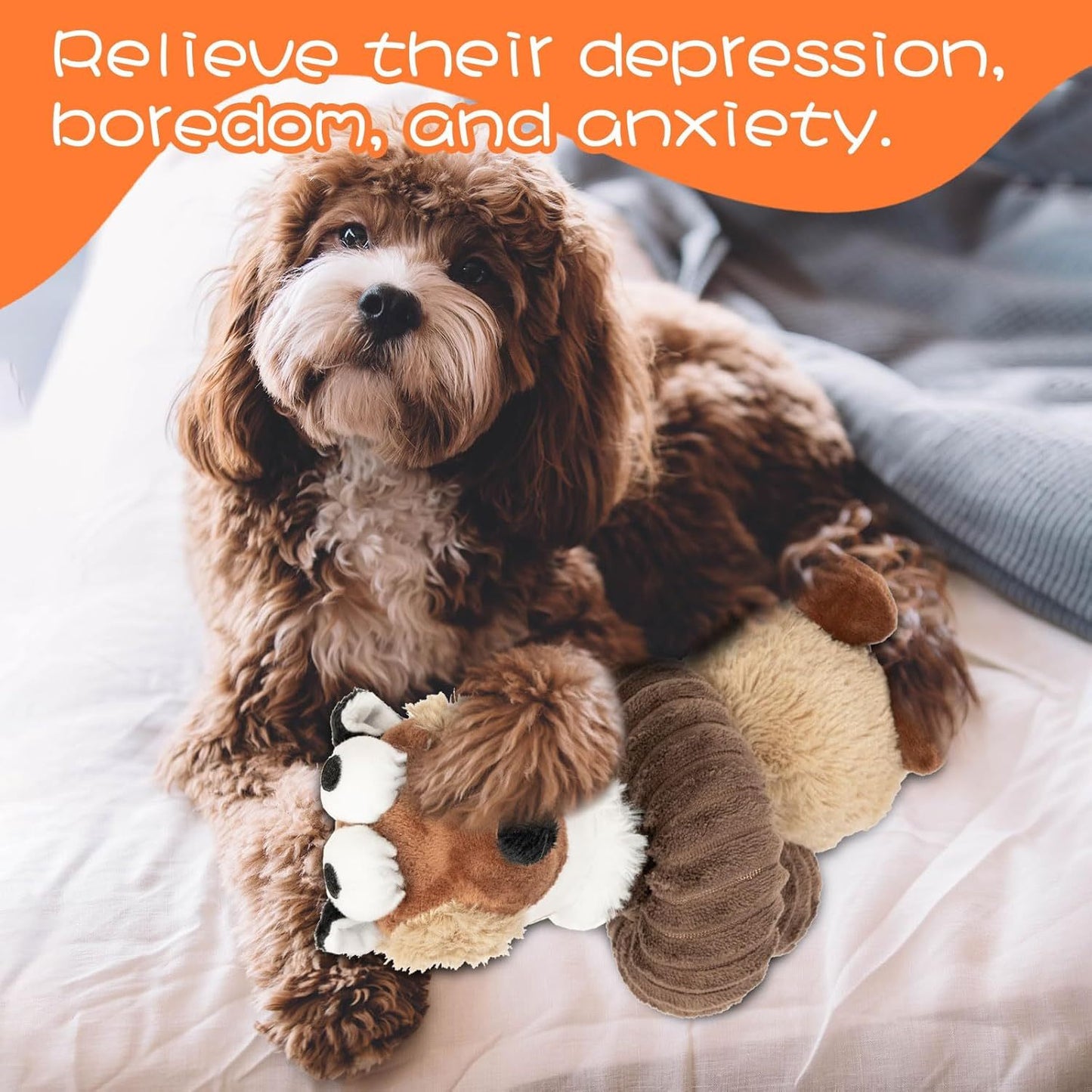 Squeaky Dog Toys