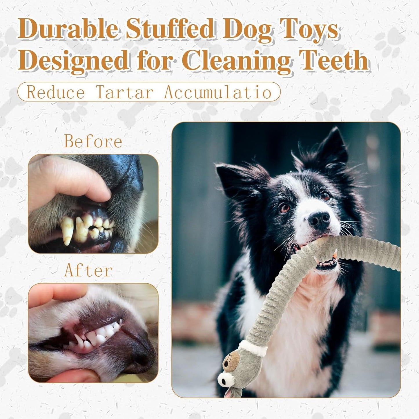 Squeaky Dog Toys
