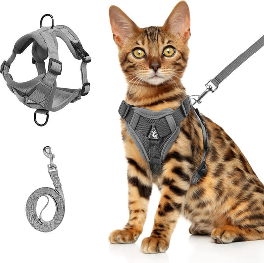 Summer Cat Chest Harness And Leash