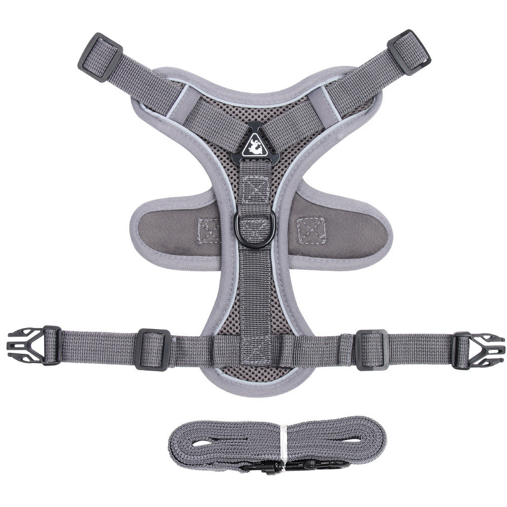 Summer Cat Chest Harness And Leash