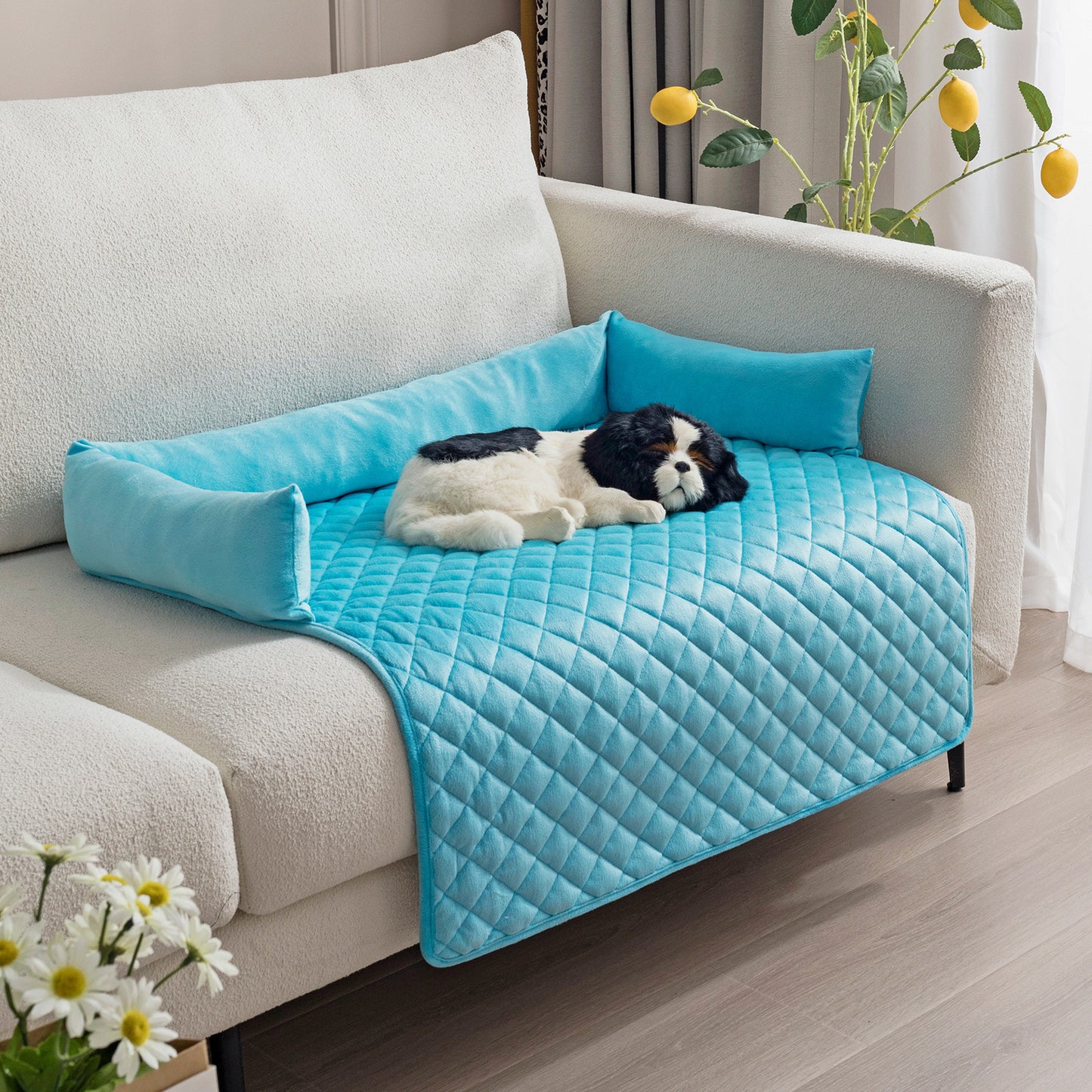Pet Sofa