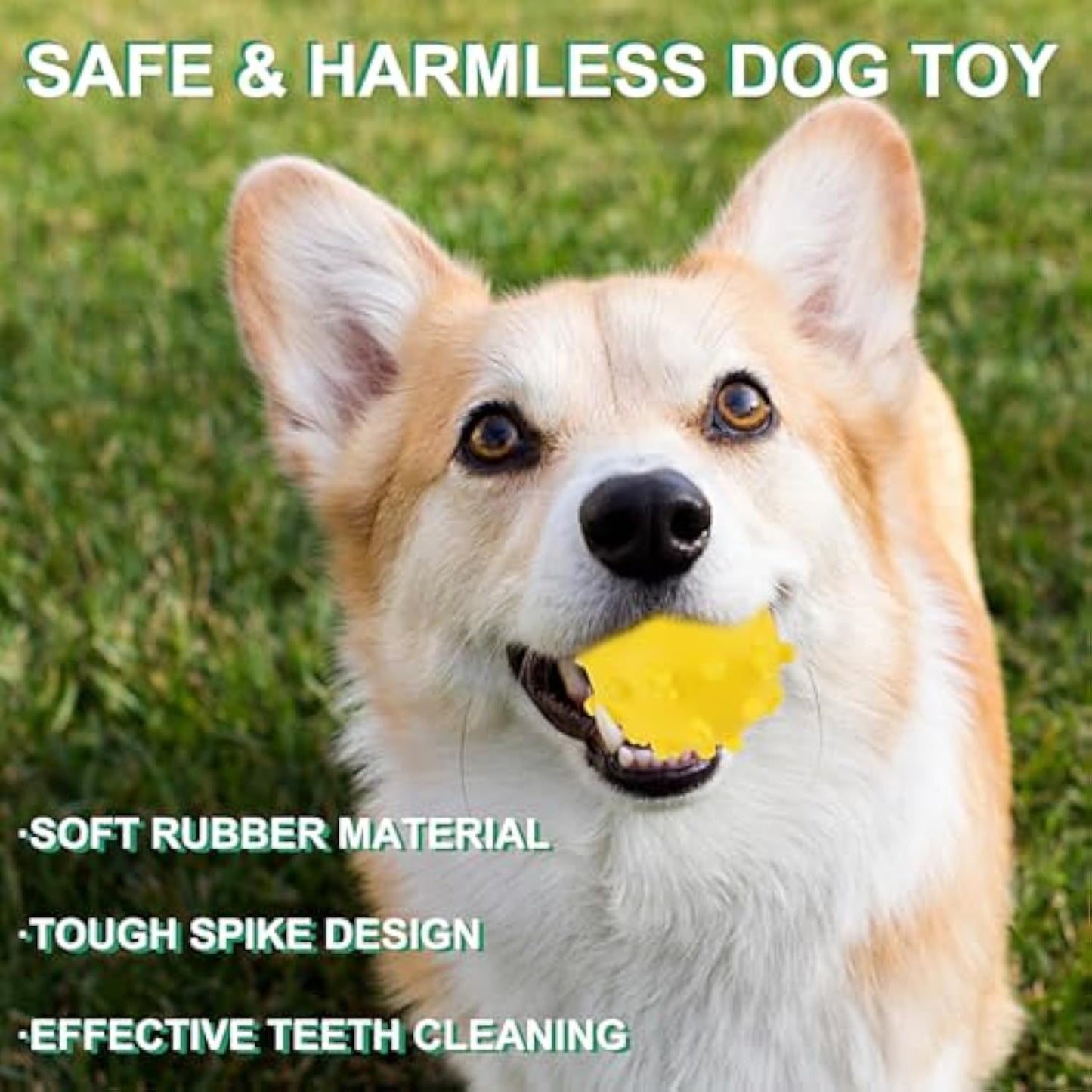 Dog Toy Balls