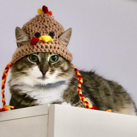 Halloween Knitted Pet Hat
