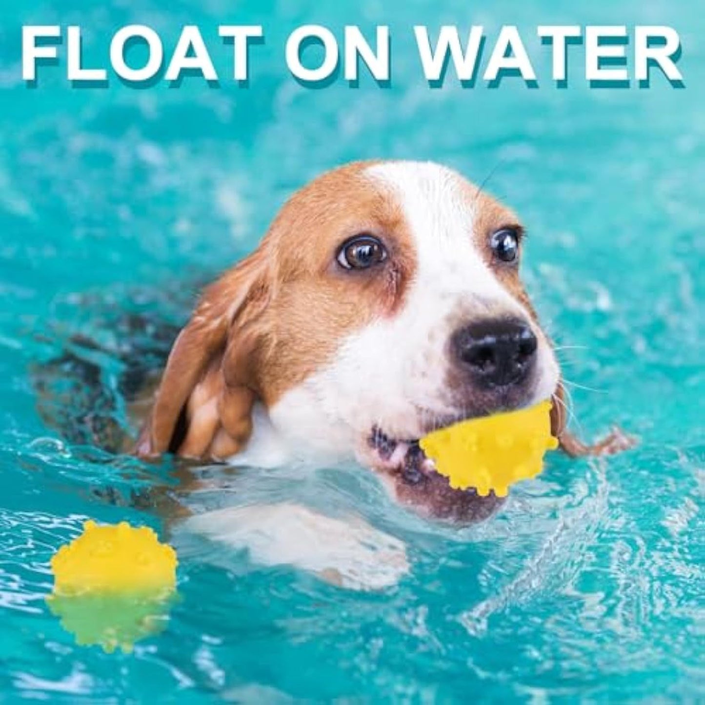 Dog Toy Balls