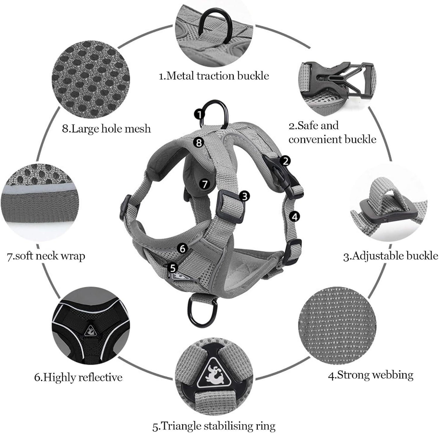 Summer Cat Chest Harness And Leash