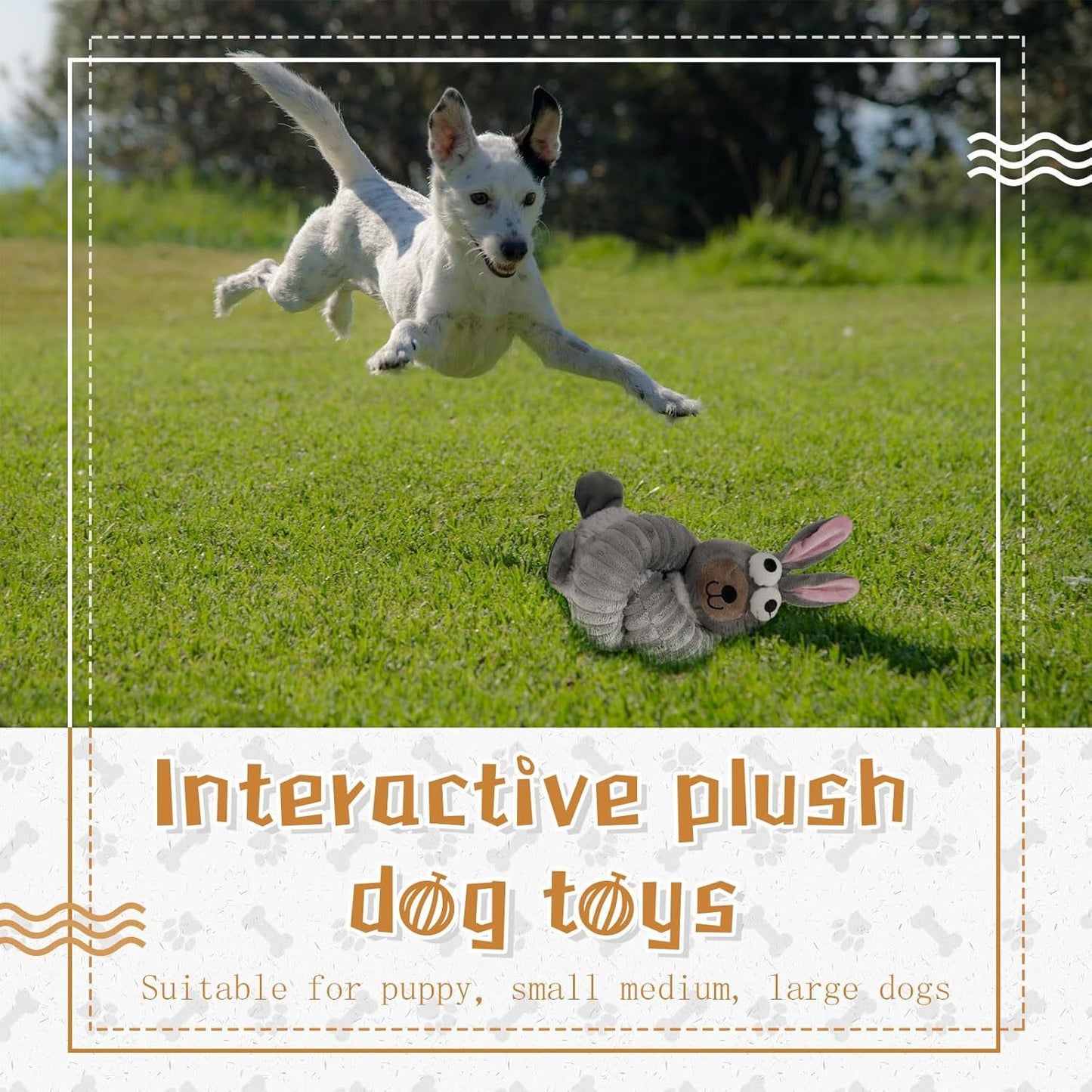 Squeaky Dog Toys