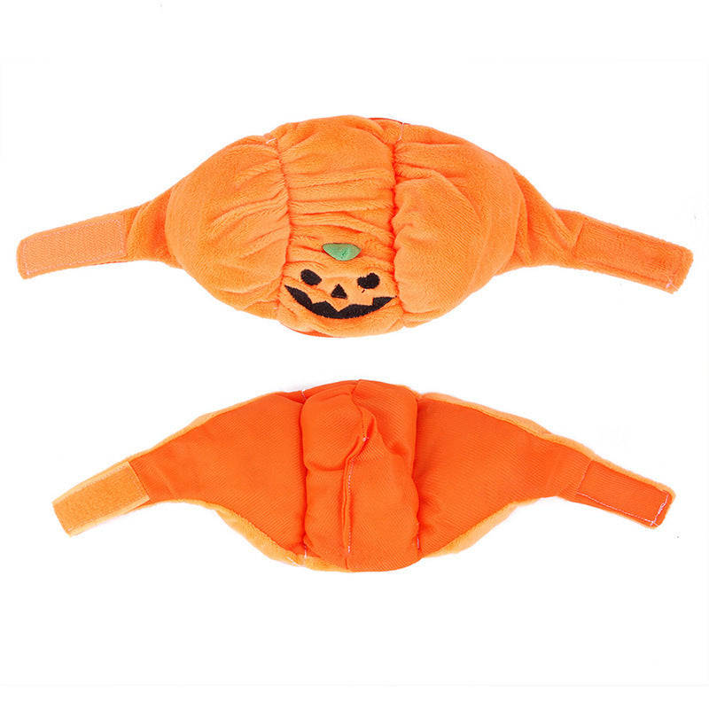 Pet Hat Halloween Funny Pumpkin