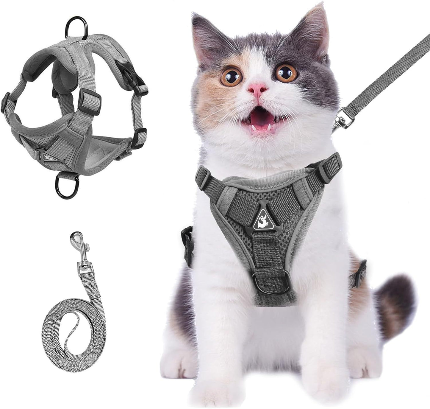 Summer Cat Chest Harness And Leash
