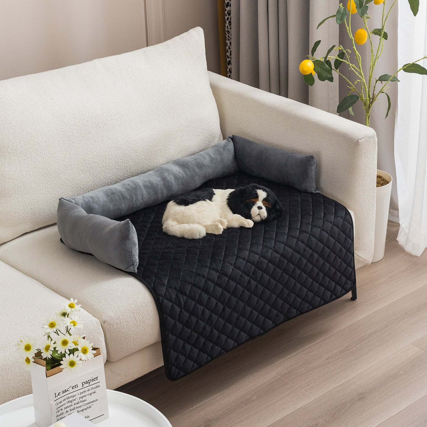 Pet Sofa