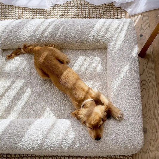 Rectangular Bed Sofa