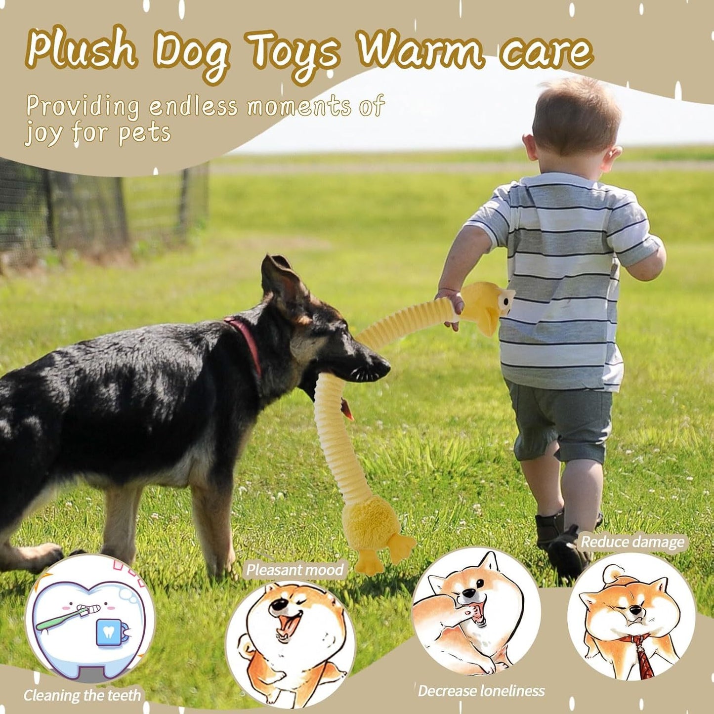 Squeaky Dog Toys