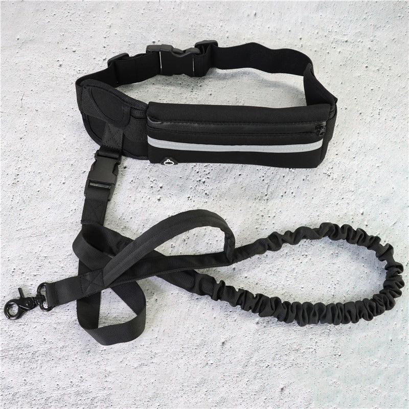 Dog walking and training belt
