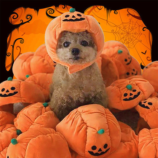 Pet Hat Halloween Funny Pumpkin