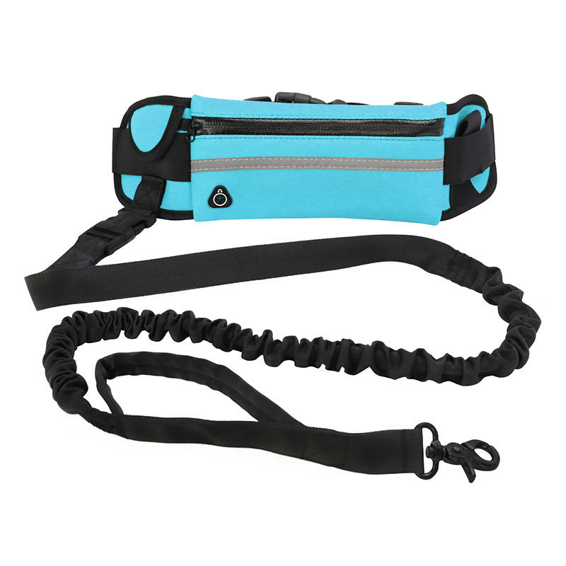 Dog walking and training belt