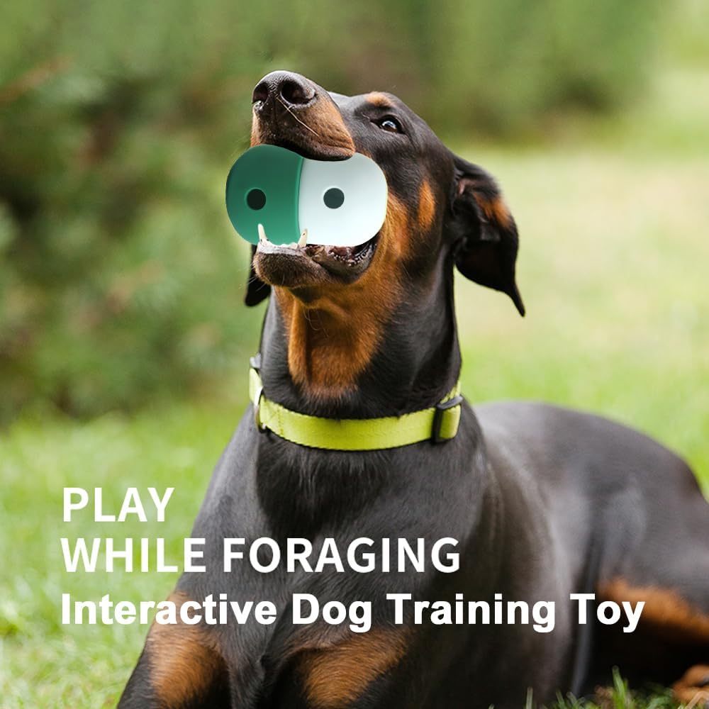 Pet Puzzle Toy