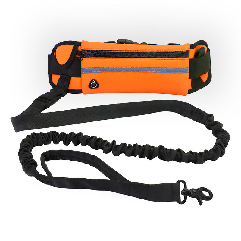 Dog walking and training belt