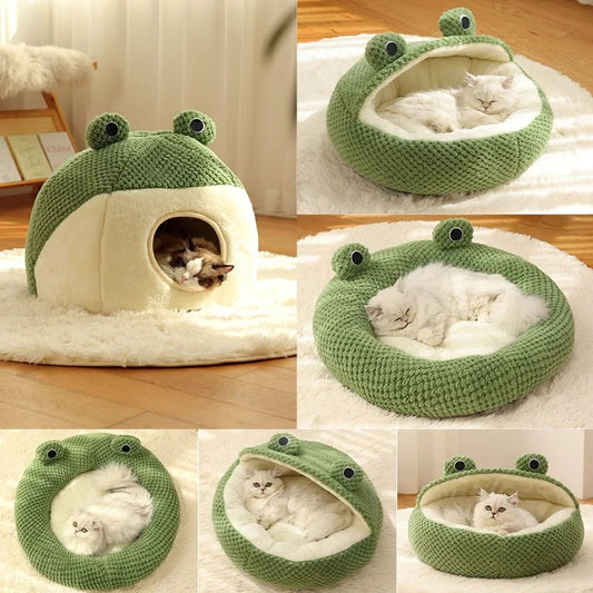 Pet Nest Little Frog