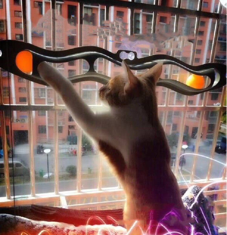 Cat toy on the window