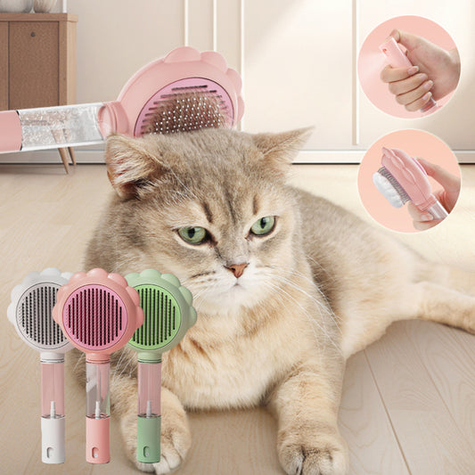 Cleaning Brush With Spray