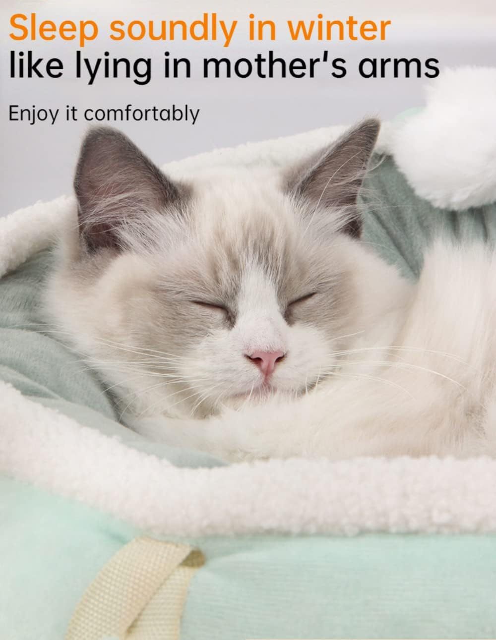 Cat bed