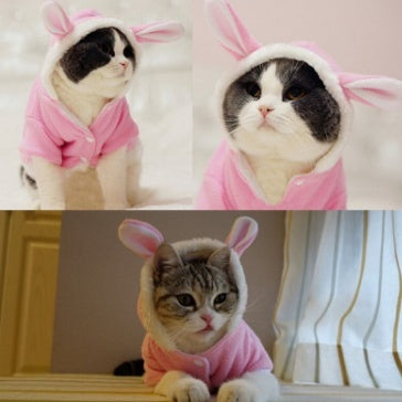 Bathrobe for cats