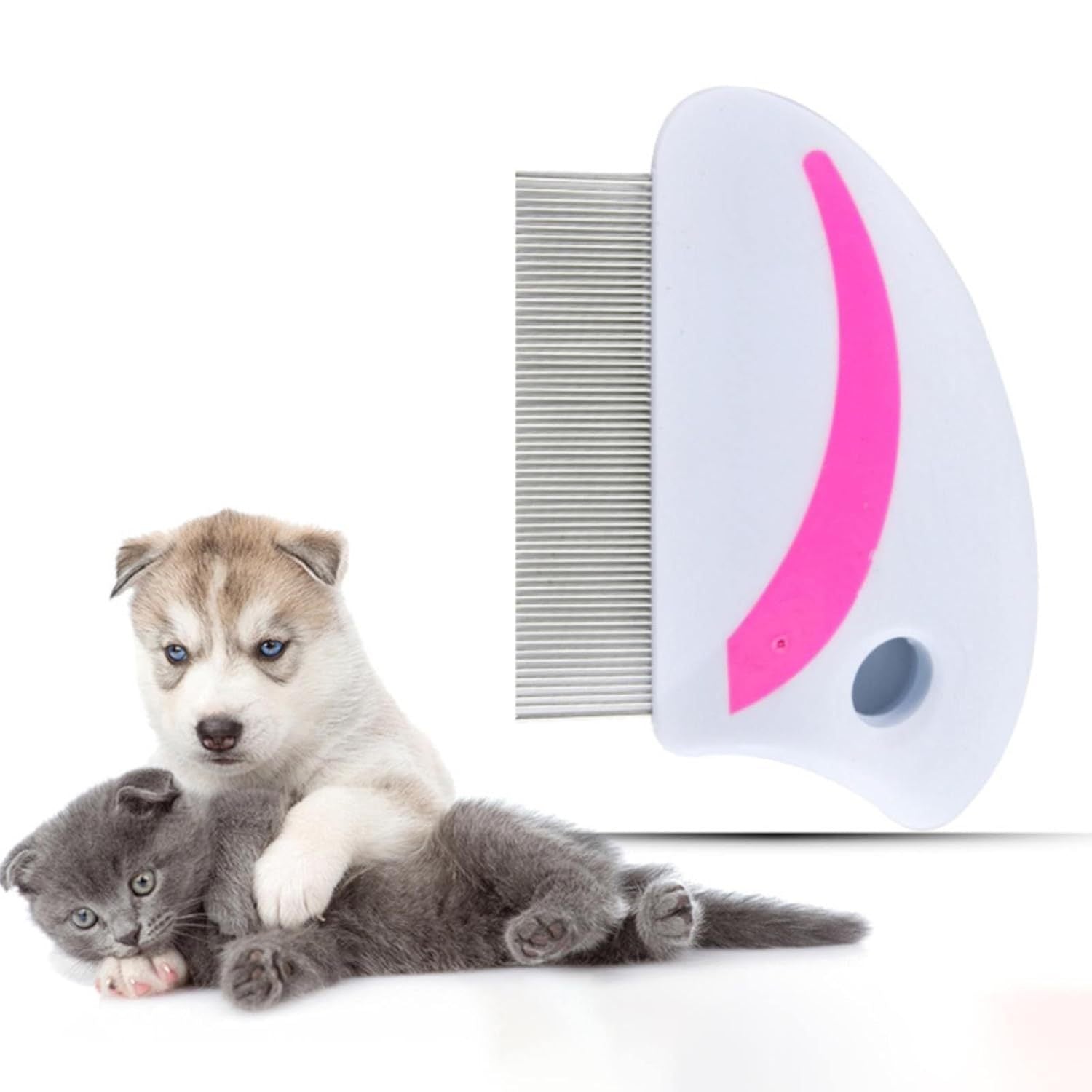 Professional-Grade Pet Grooming