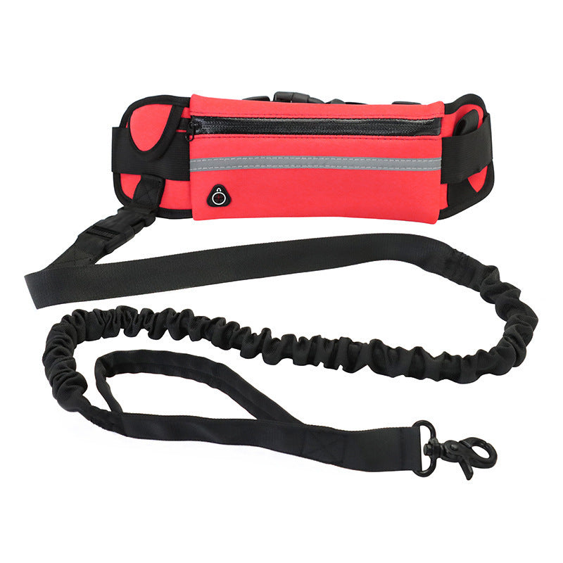 Dog walking and training belt