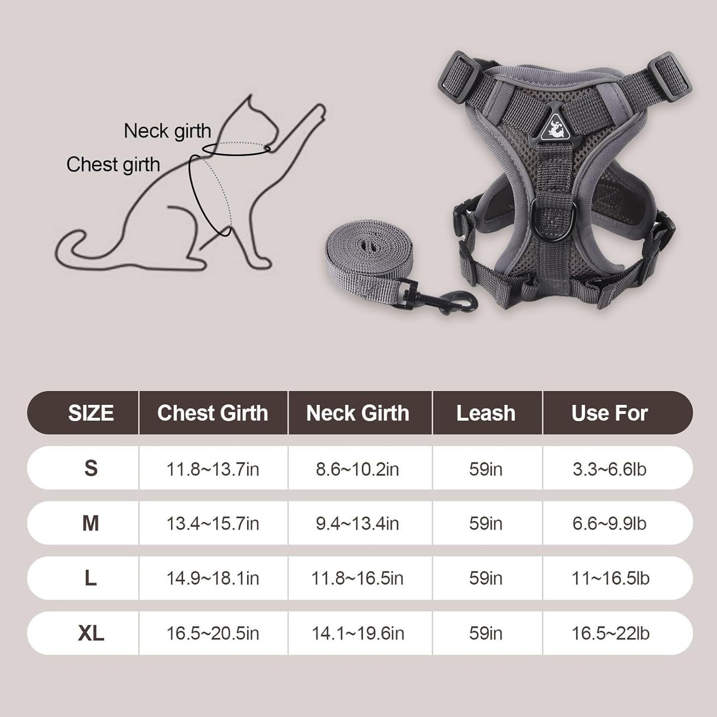 Summer Cat Chest Harness And Leash