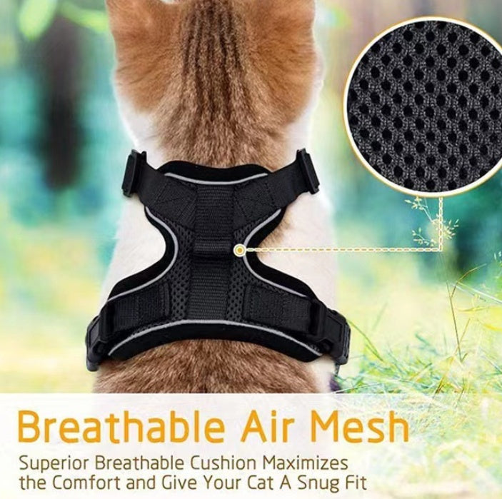 Cats Breathable Chest Strap Reflective