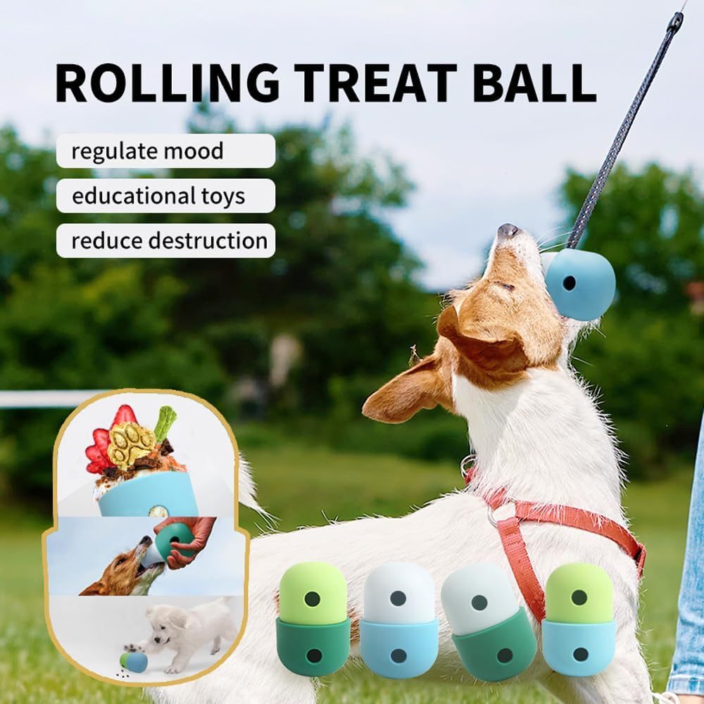 Pet Puzzle Toy