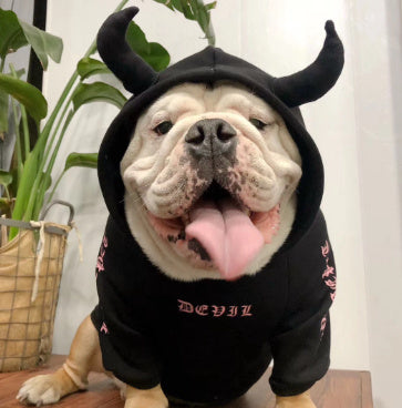 Pet halloween plus fleece sweater