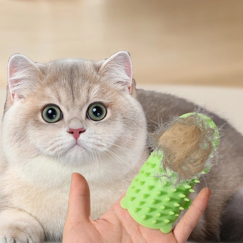 Massage Comb Cats