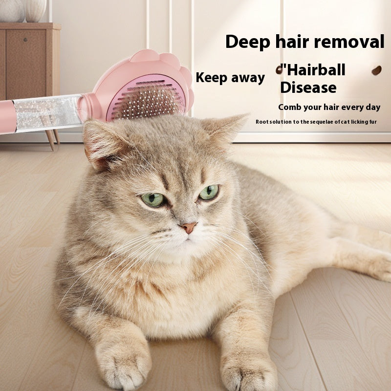 Cleaning Brush With Spray