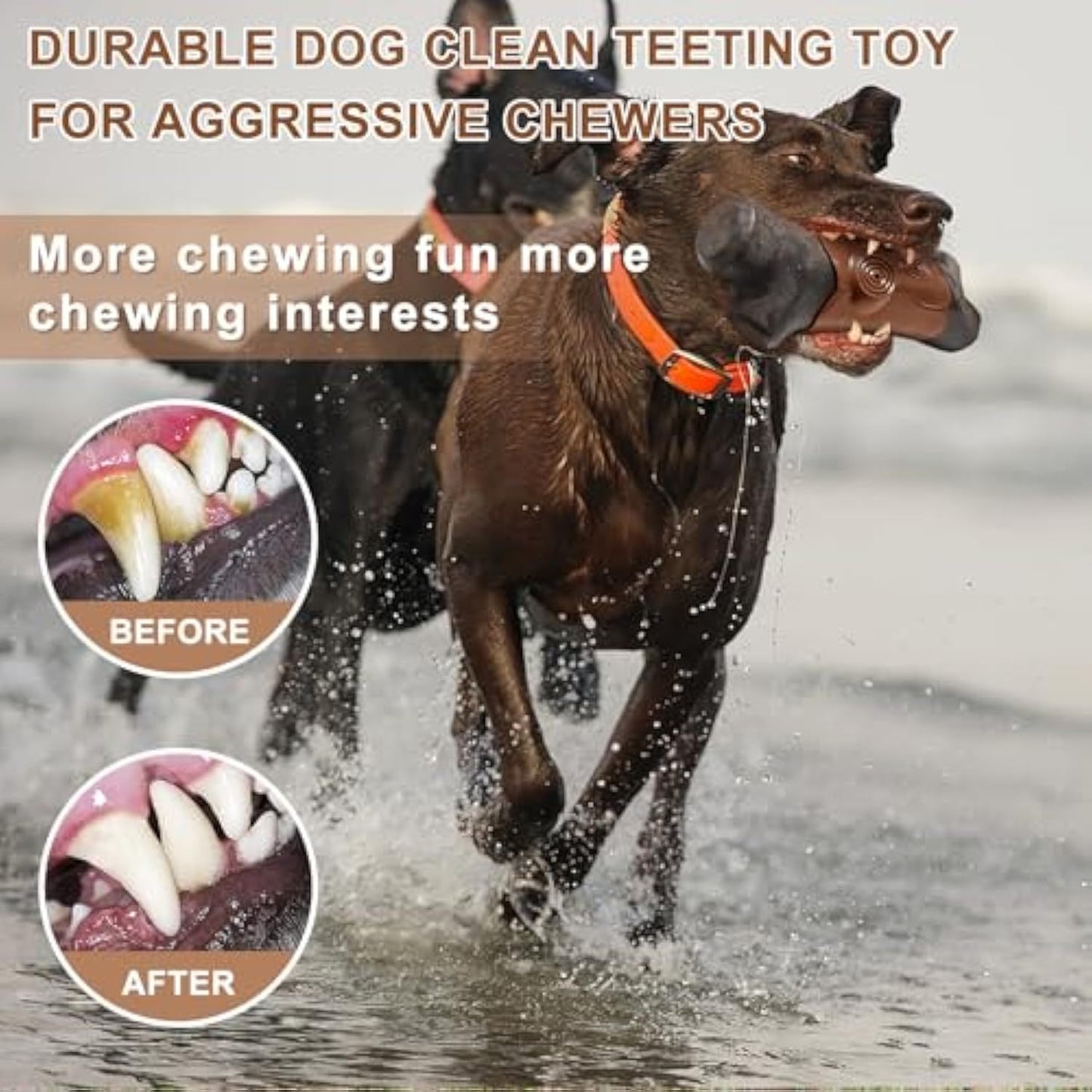 Tough Dog Toys