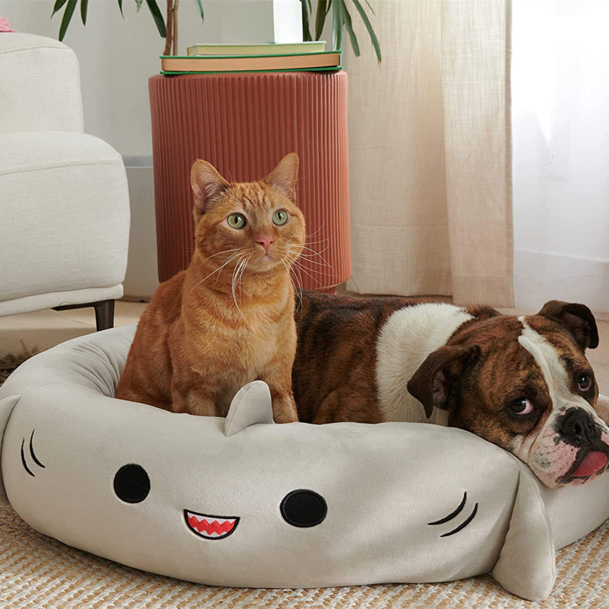 Shark Pet Bed