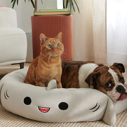 Shark Pet Bed