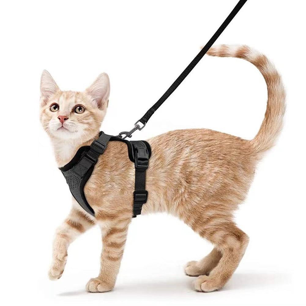 Cats Breathable Chest Strap Reflective