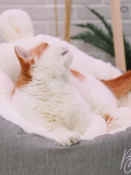 Pet Warming Soft Bed